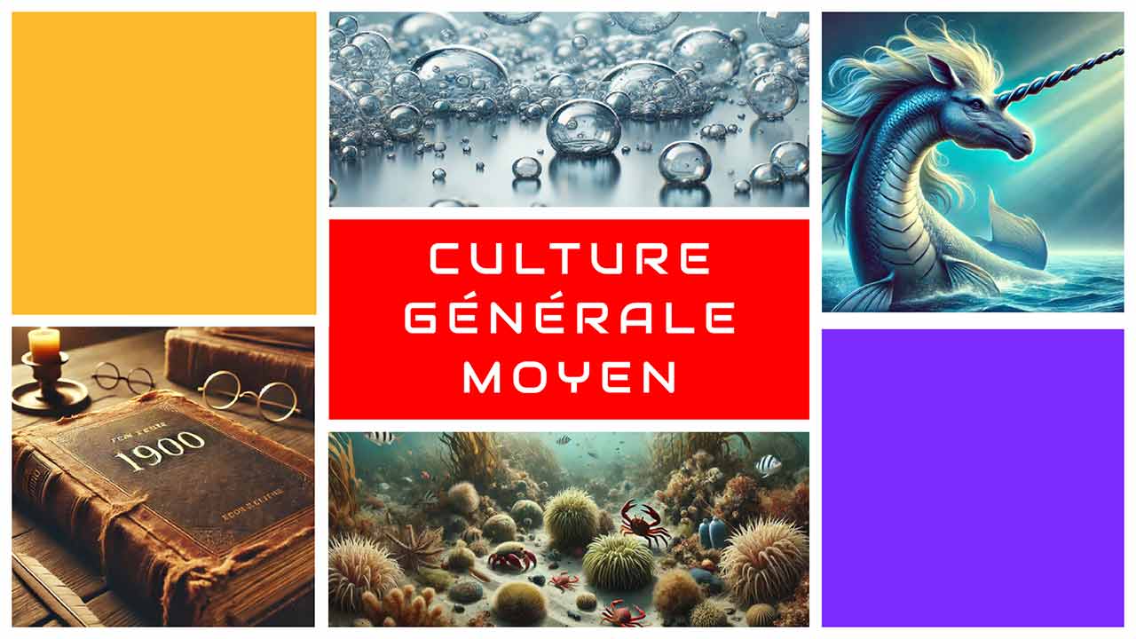 Quiz de culture générale : jusqu'où iront vos connaissances ? 1 Quiz culture générale moyen